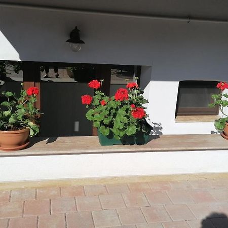 Bed and Breakfast Ana Boutique Alba Iulia Exterior foto